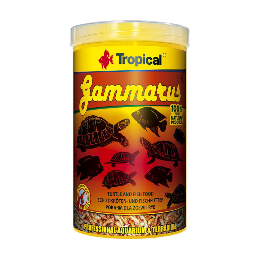 Tropical Gammarus alimento para reptiles, , large image number null